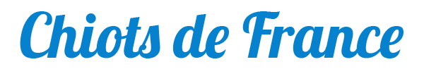 logo-chiotsdefrance