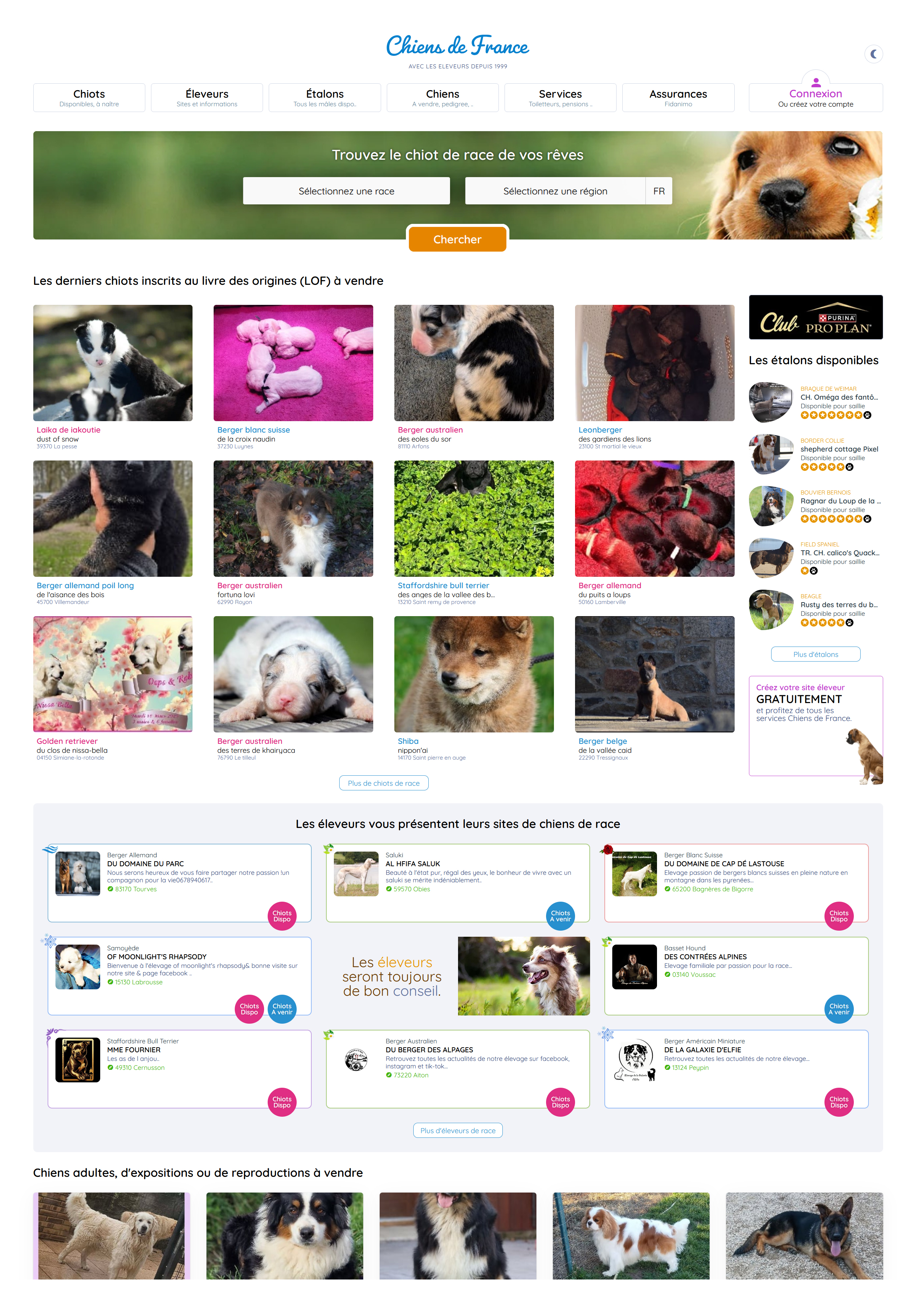 site-chiensdefrance